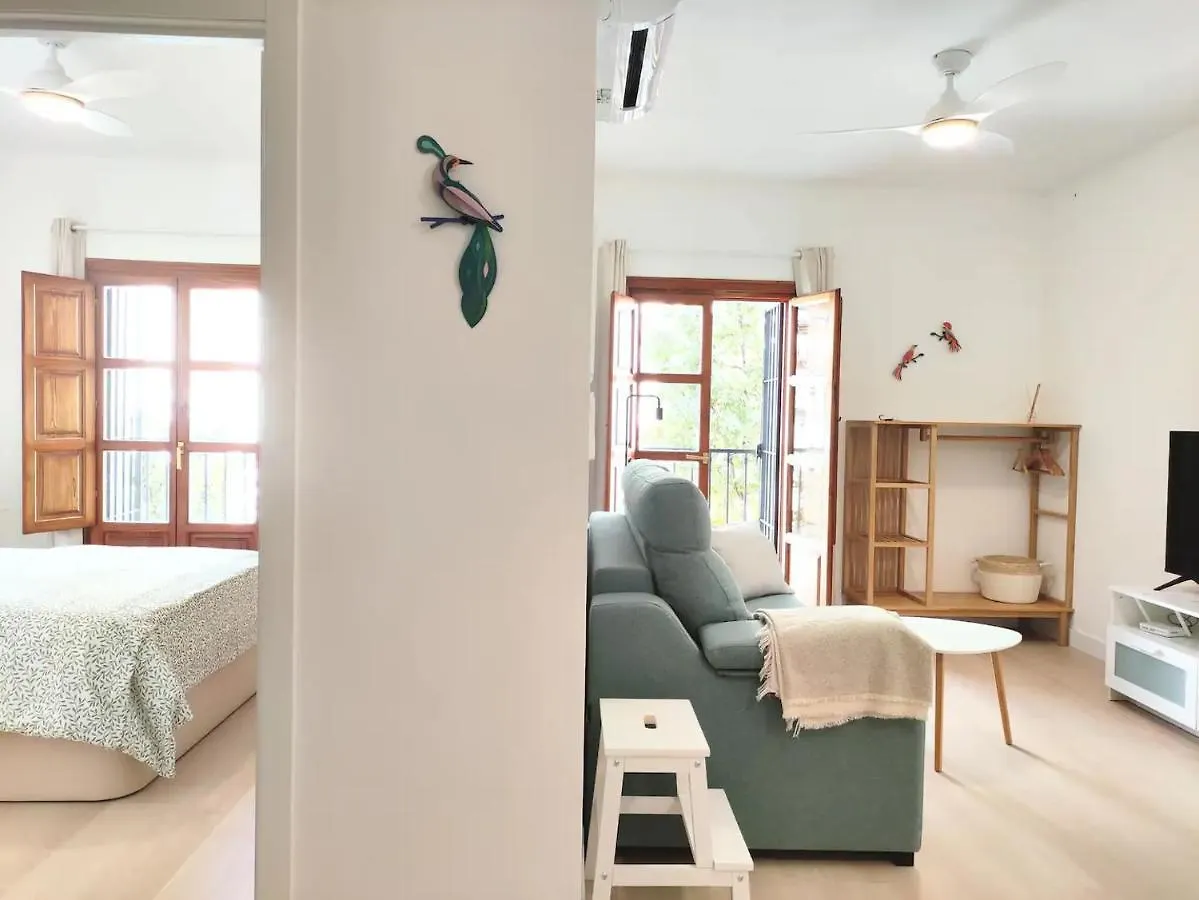 Pura Vida Albaicin - Parking Incluido Apartment Granada